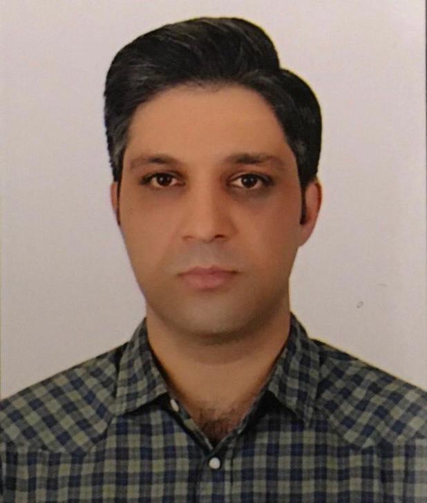 سید حمید مرتضوی