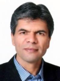 محمدجواد ملک نیا