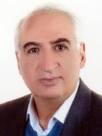 منصور صالحی کهریزسنگی