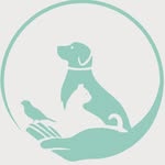 کلینیک دامپزشکی دکتر محمد رنجبر