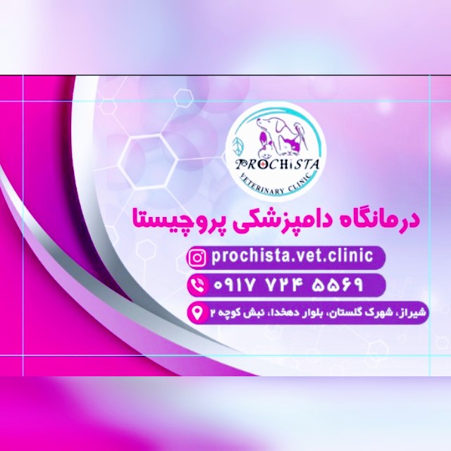 کلینیک دامپزشکی پروچیستا